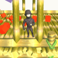 Ninja Runs 3D