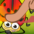 Insect Cush