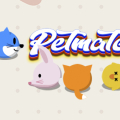 Pet Match