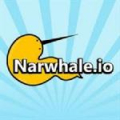 Narwhale.io 