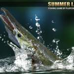 Summer lake