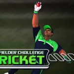 Cricket Fielder Challenge Game